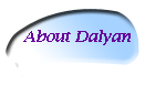 button for about dalyan