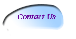 button for contact us